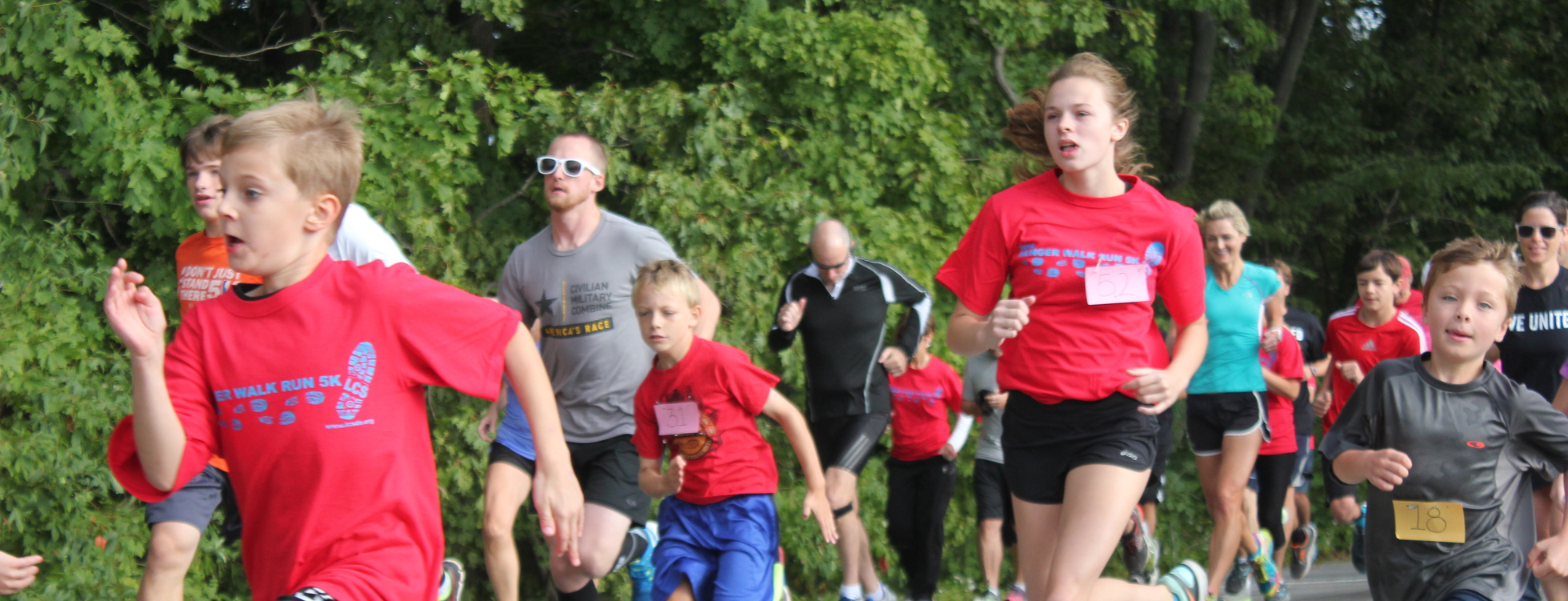 2016 Walk Run